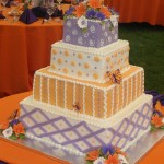 wedding purple orange butterflies