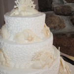 12 wedding full coral white choc shells